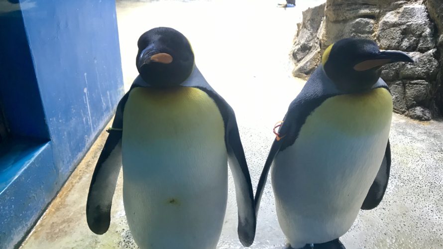 長崎ペンギン水族館と冷たいもの〜日本一周 １２５日目~１２７日目〜